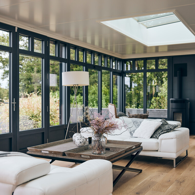 extension vitree clermonf-ferrand